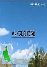 Hamada's Holiday In Hawaii E01