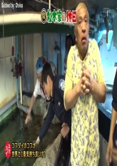 Matsumotoke - Fish Touching