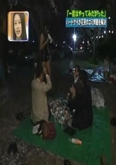 Daibakuten - Hard Gay Sakura Viewing