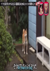 Wednesday Downtown 2021.05.05