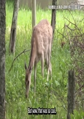 Hamada Holiday In Hokkaido Ep 3