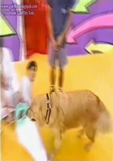 Tanaka's Beautification Project