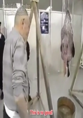 Urgent Plan - Anglerfish Feast